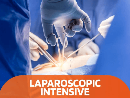 Laparoscopic Intensive Hands-On Suturing Workshop