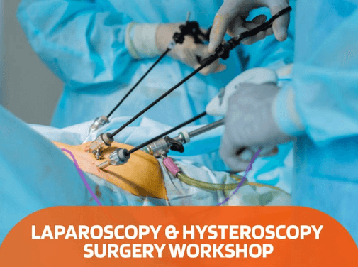 Laparoscopic and Hysteroscopy Surgery Workshop