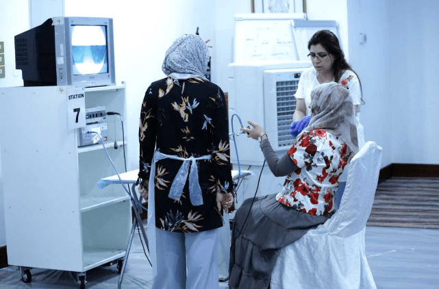 Hysteroscopy Simulation