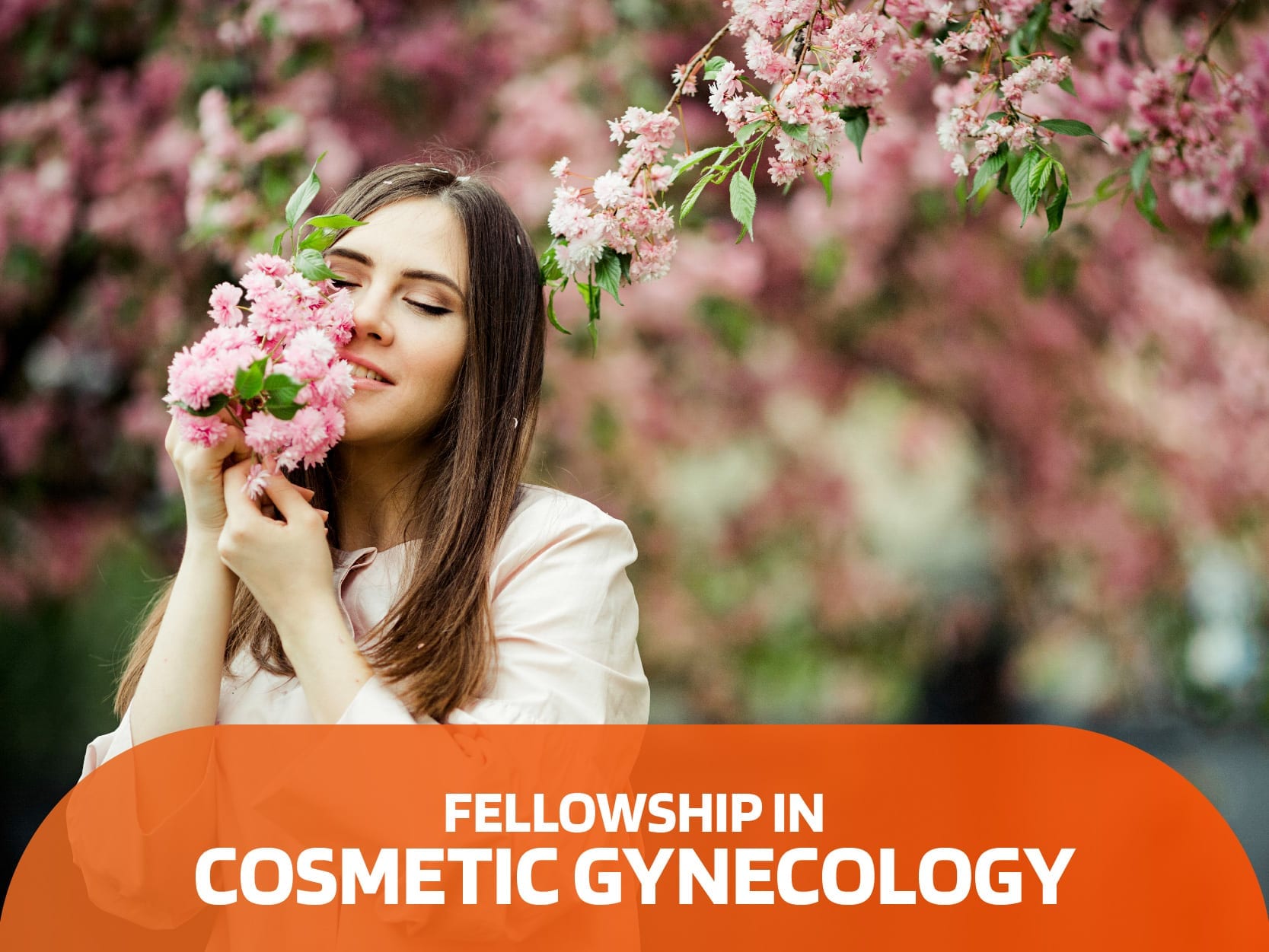 Fellowship in Cosmetic Gynecology