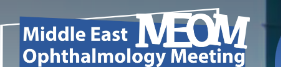MEOM Academy